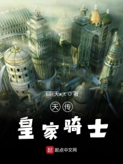 天传皇家骑士