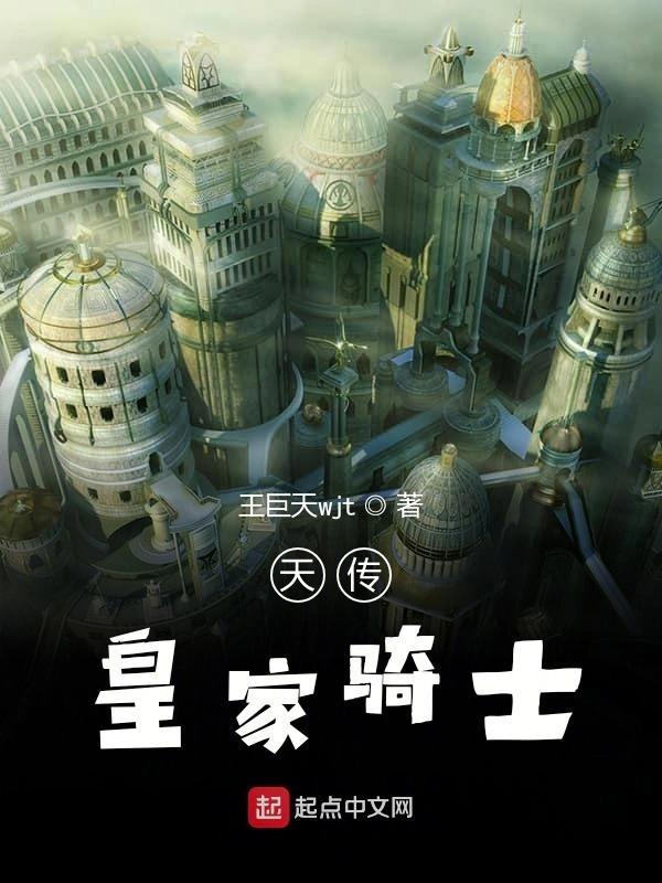 天传皇家骑士