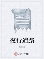 夜行道路