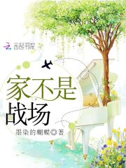 皇上受太子攻H