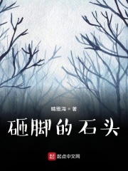 砸脚的石头在线阅读