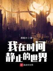 我在时间静止的世界在线阅读