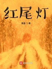 红尾灯在线阅读