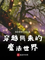 穿越而来的魔法世界封面