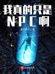 我真的只是NPC啊在线阅读