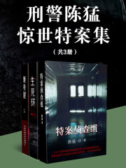 刑警陈猛惊世特案集（共3册）