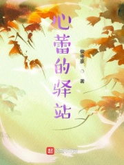 心蕾的驿站在线阅读