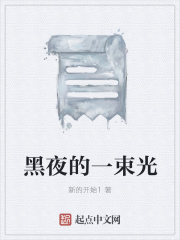 黑夜的一束光在线阅读