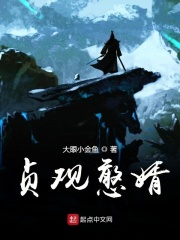 贞观憨婿在线阅读