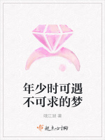 年少时可遇不可求的梦在线阅读