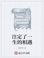 注定了一生的相遇在线阅读