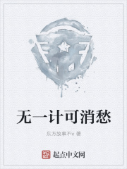 无一计可消愁在线阅读