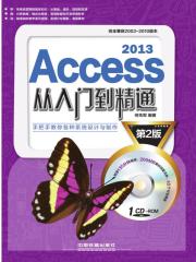 Access 2013从入门到精通（第2版）