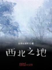西北之地