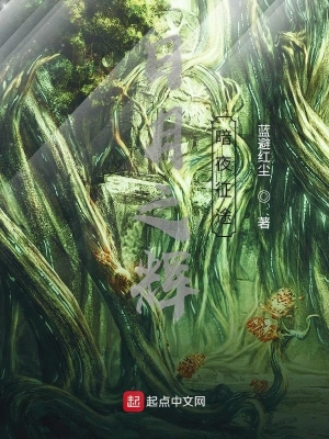 日月之辉暗夜征途