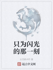 只为闪光的那一刻在线阅读