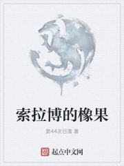 索拉博的橡果