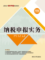 纳税申报实务