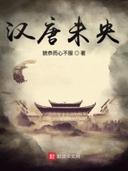 汉唐未央在线阅读