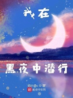 我在黑夜中潜行在线阅读