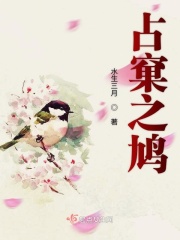 占窠之鸠在线阅读