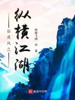 岳灵风之纵横江湖在线阅读