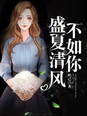 盛夏清风不如你