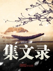集文录在线阅读