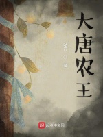 大唐农王封面
