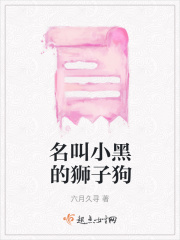 名叫小黑的狮子狗在线阅读