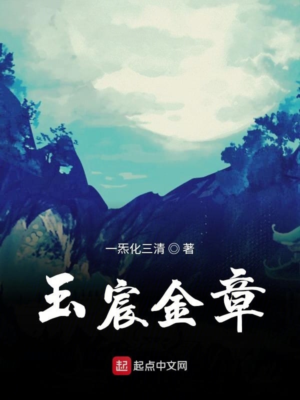 玉宸金章在线阅读