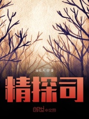 精探司