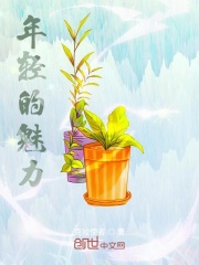 年轻的魅力在线阅读