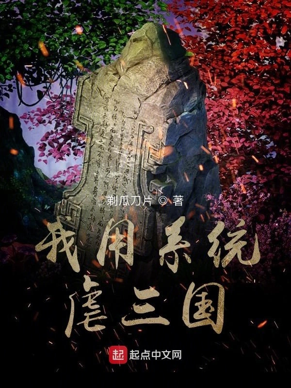 我用系统虐三国