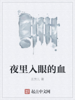 夜里入眼的血在线阅读