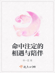 命中注定的相遇与陪伴