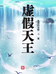 虚假天王在线阅读