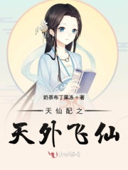 天仙配之天外飞仙