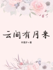 云间有月来在线阅读