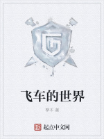 飞车的世界封面