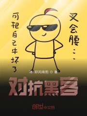 对抗黑客在线阅读
