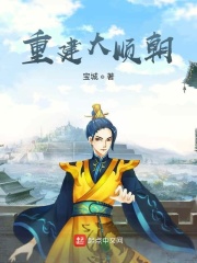 重建大顺朝在线阅读