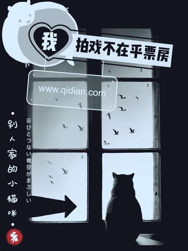我拍戏不在乎票房在线阅读