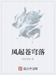 风起苍穹落在线阅读