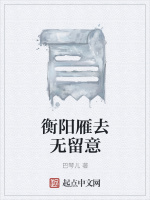 衡阳雁去无留意在线阅读