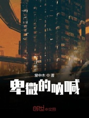 卑微的呐喊在线阅读