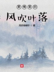 爱情里的风吹叶落在线阅读