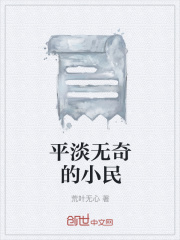 平淡无奇的小民在线阅读