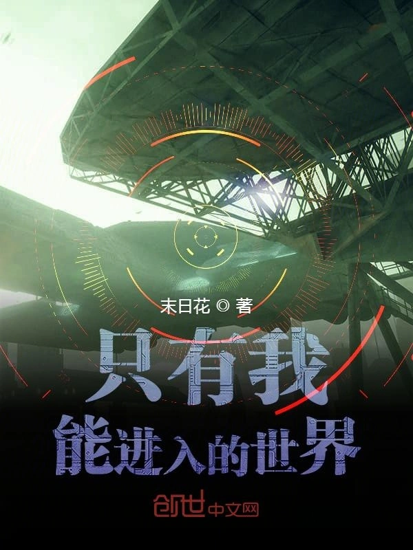 只有我能进入的世界