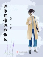 我要你懂我的快乐在线阅读